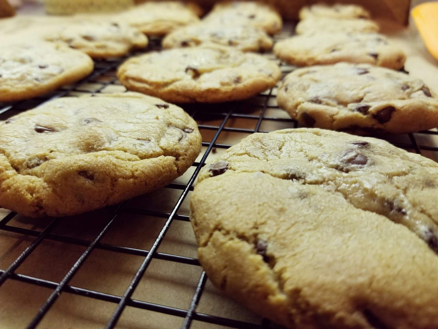 Freshly baked chocolate chip cookies cooling on a wire rack.